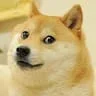 MrDoge