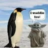 Widdle Waddle