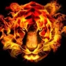 FireTiger