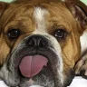 Buster20