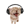 SalSlice