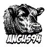 Angus94