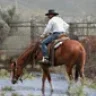 Ranchhand