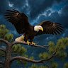 EaglePC