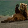 barebear