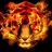 FireTiger