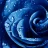 LAChantrose33