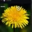 windows11pro777