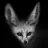 TechFennec