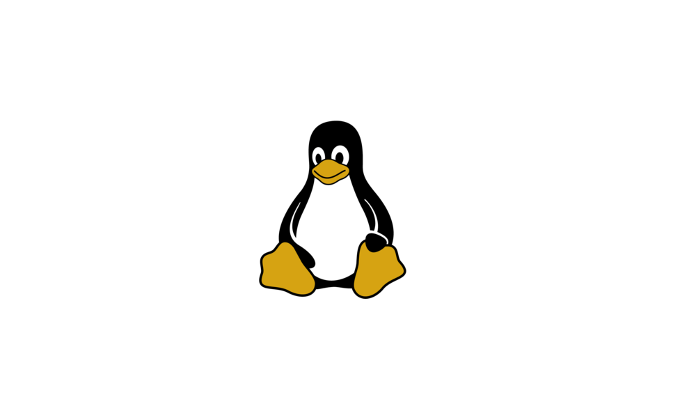 www.elevenforum.com