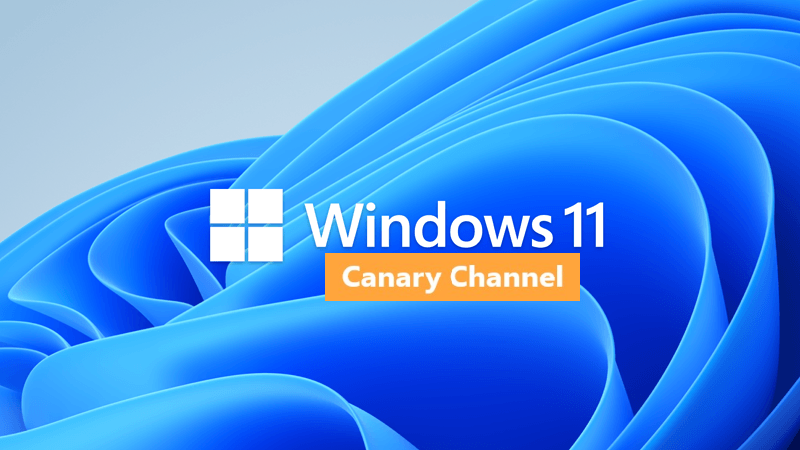 windows 11 canary build
