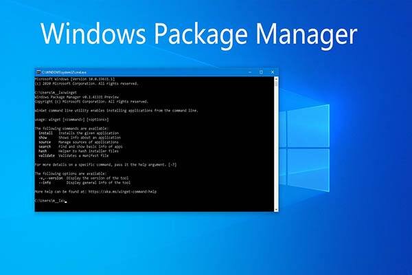 Package manage. Windows package. Пакедж менеджер. DNF Пакетный менеджер. Windows package Manager icon.