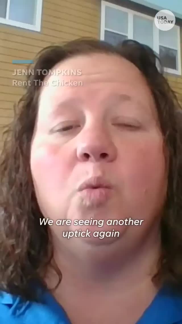 sendvid.com