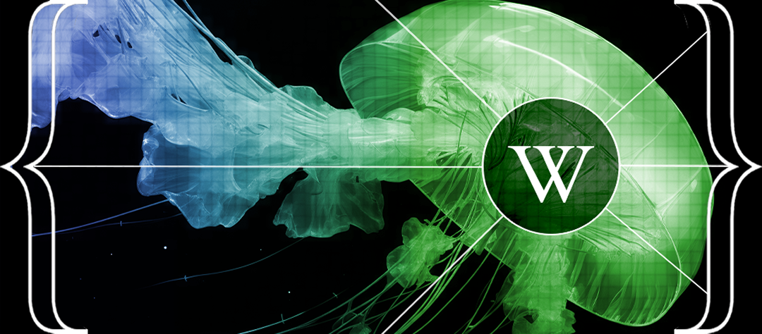 wikimediafoundation.org