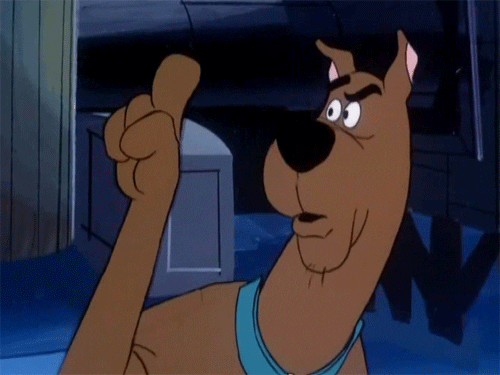 funny-no-scooby-doo-mwi0c9ezokxfe2h6.gif