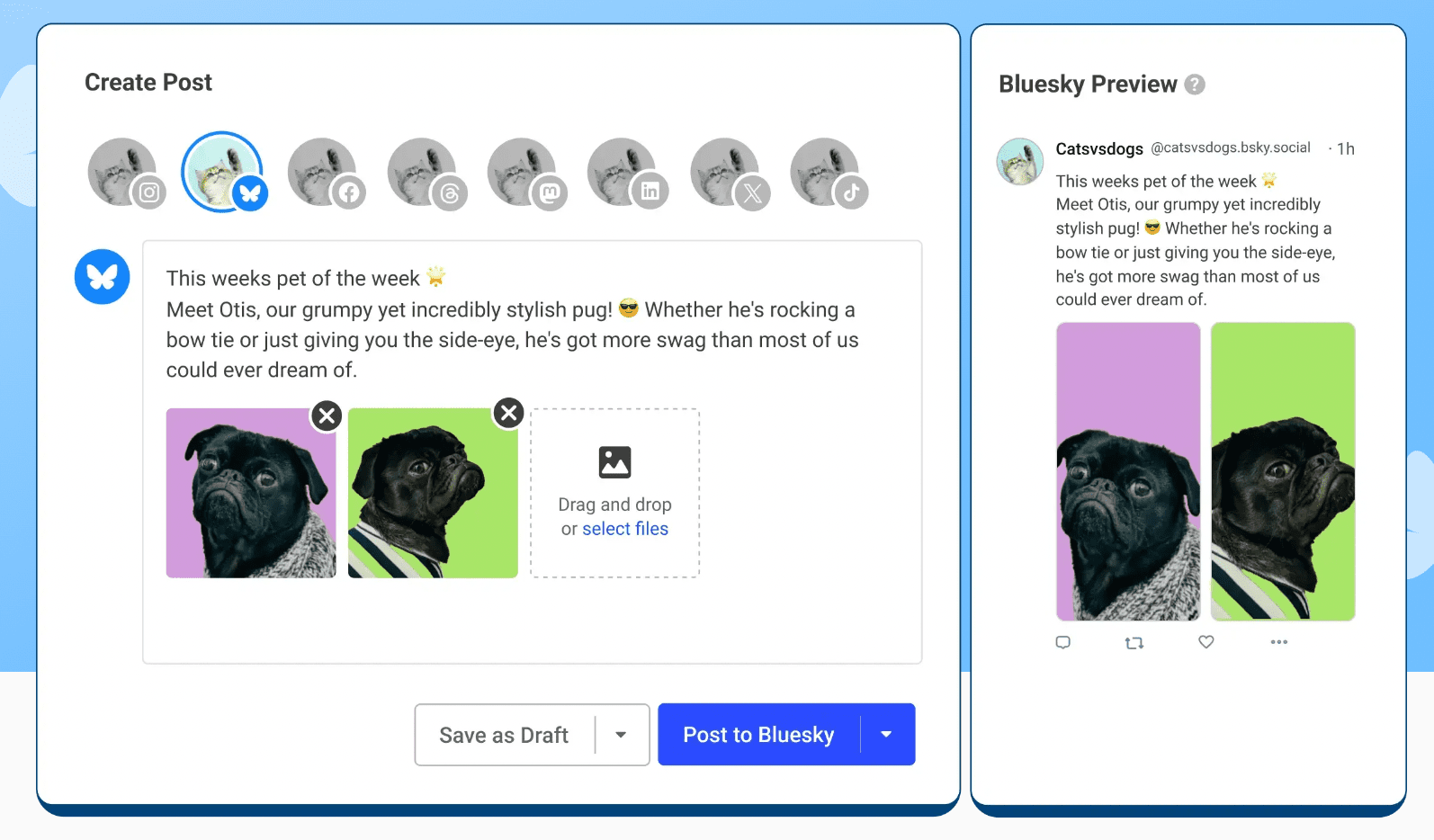bsky.social