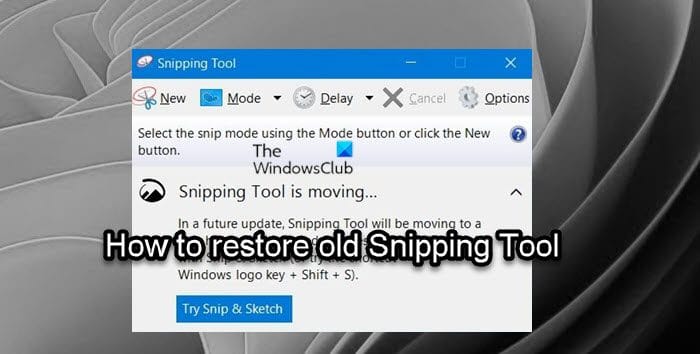 www.thewindowsclub.com