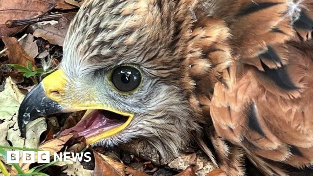 www.bbc.co.uk