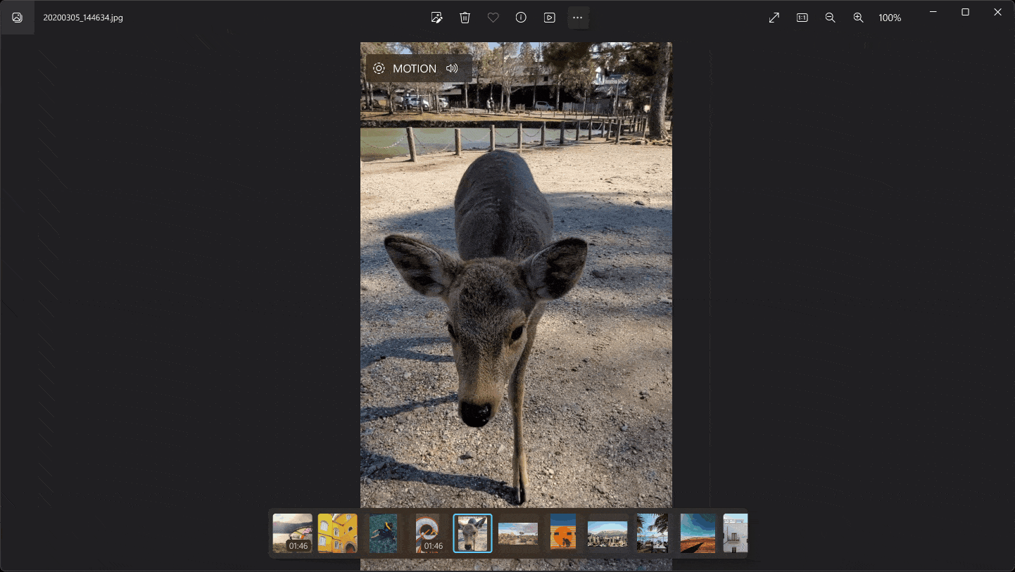 Video playback in motion photos. Video playback in motion photos.