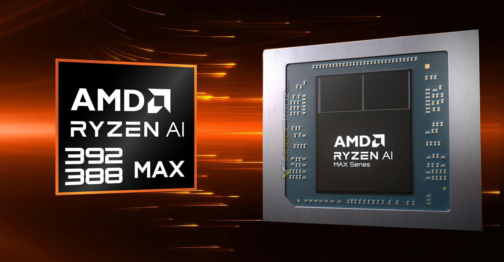videocardz.com