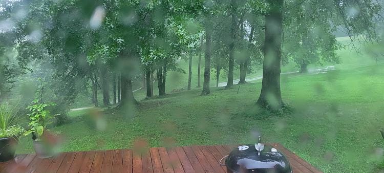 Youtube Dump-rain3.jpg