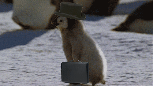 erhSt9r.gif