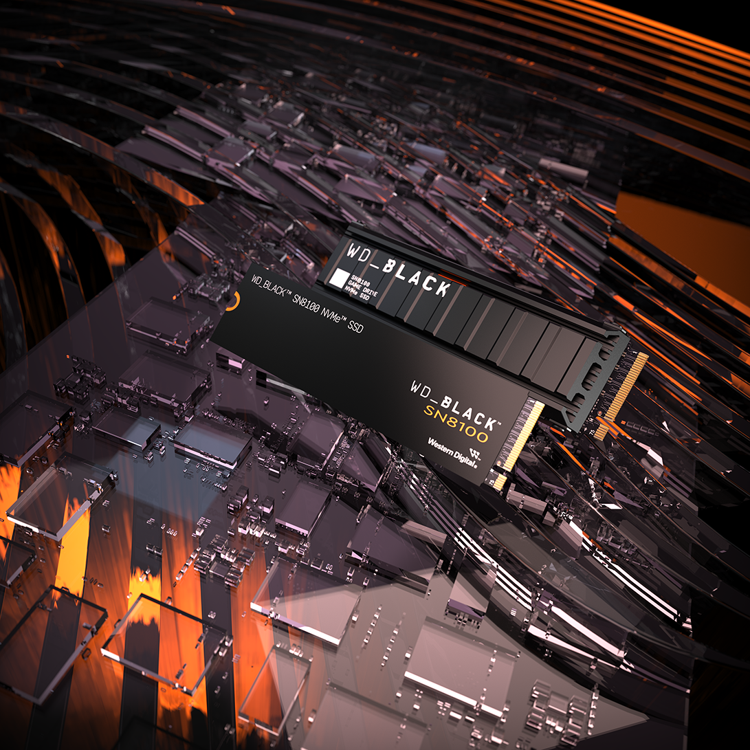 www.sandisk.com