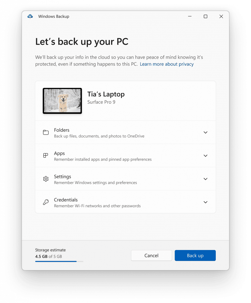 The Windows Backup app.