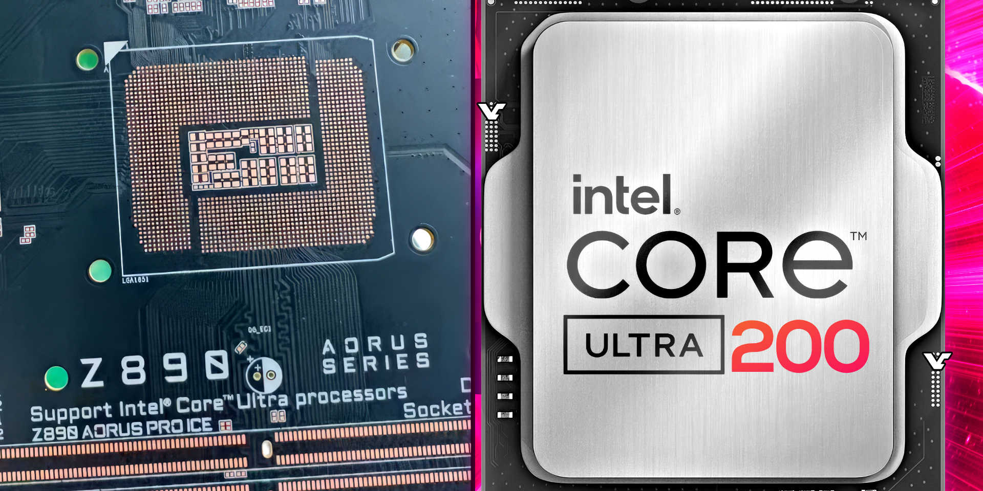 videocardz.com