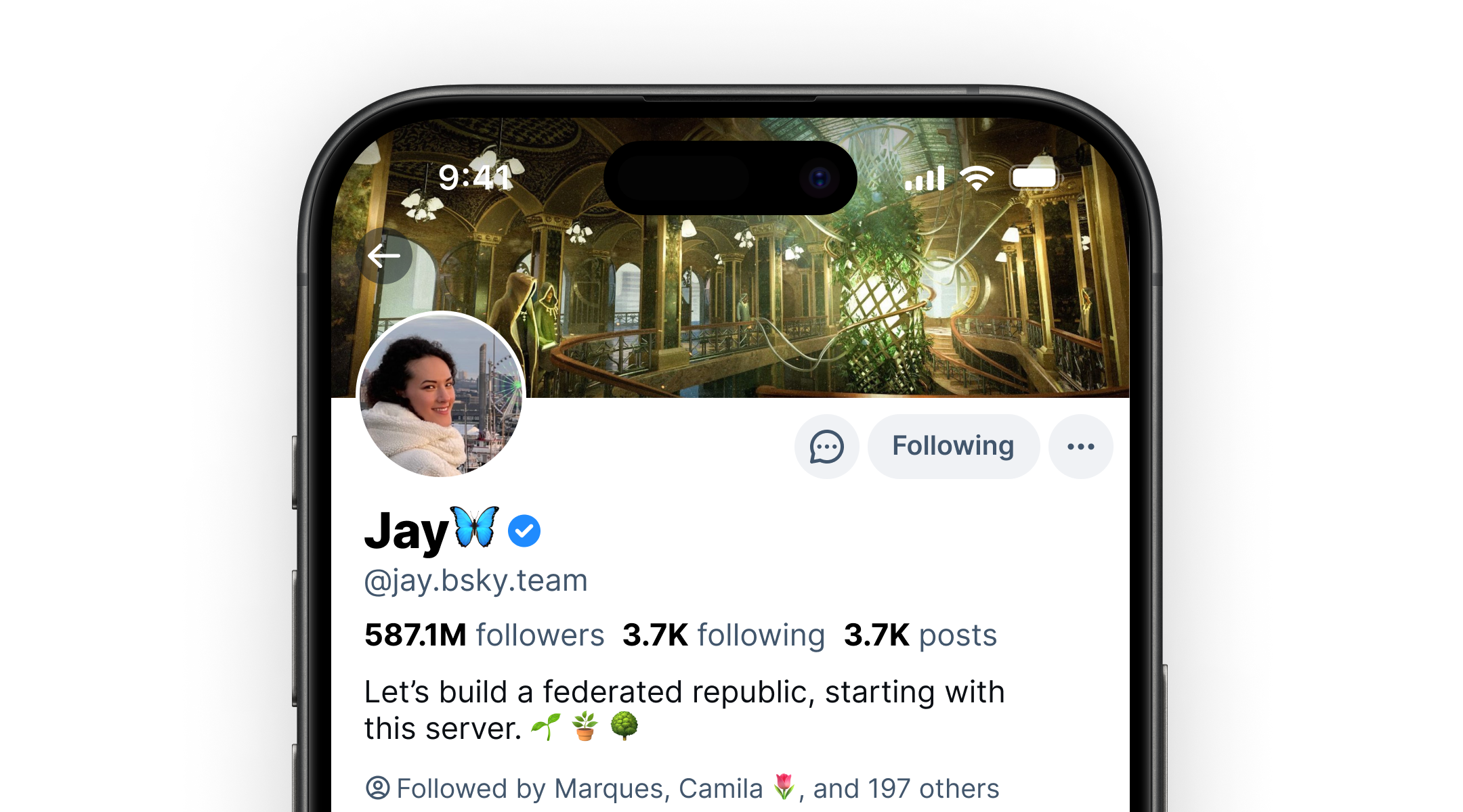 jay-verification-illustration.png