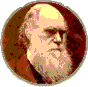 darwinawards.com