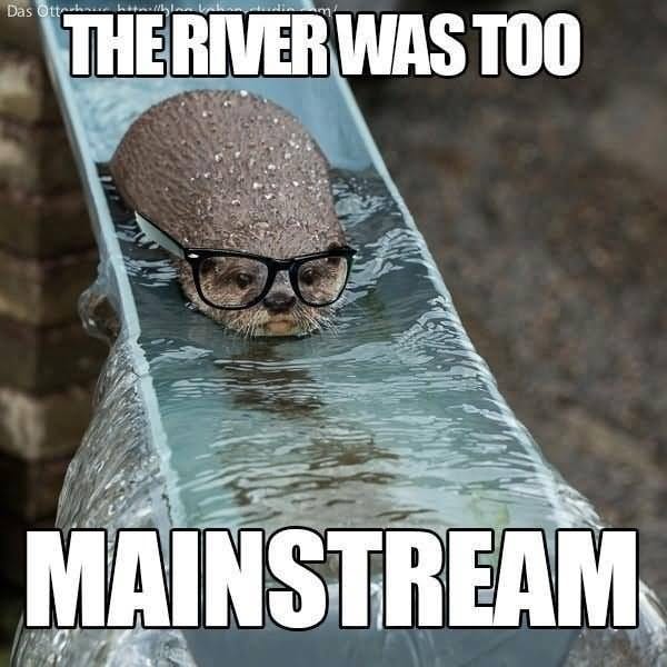The-River-Was-Too-Mainstream-Funny-Nature-Meme-Picture.jpg