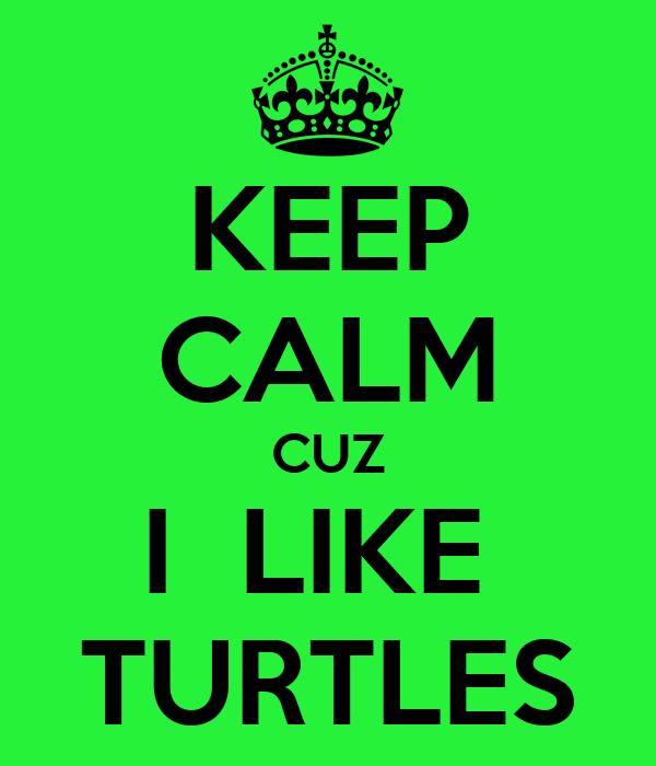 keep-calm-cuz-i-like-turtles-2.png