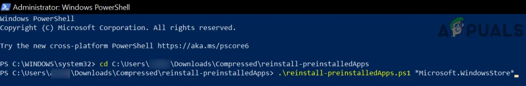 Preinstall Microsoft Store has stopped working | Windows 11 Forum